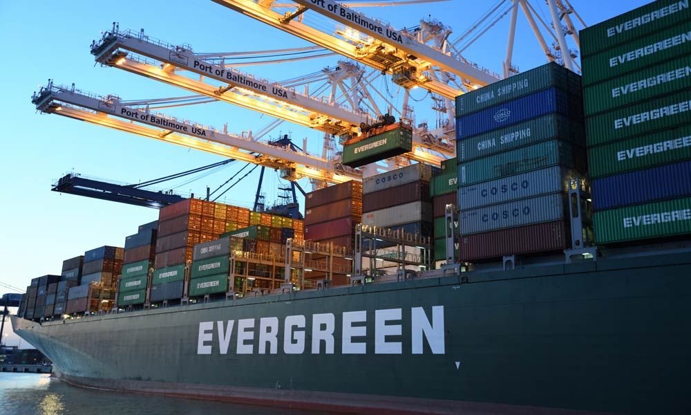 Officia deserut molli